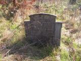 image of grave number 319716